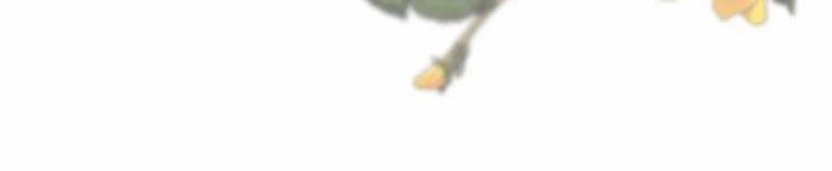 Tôi Sẽ Cứu Lấy Nam Chính Tiểu Thuyết Bl 23.5 trang 283