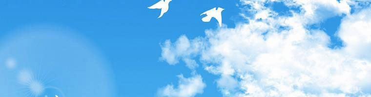 Tôi Sẽ Cứu Lấy Nam Chính Tiểu Thuyết Bl 24 trang 172