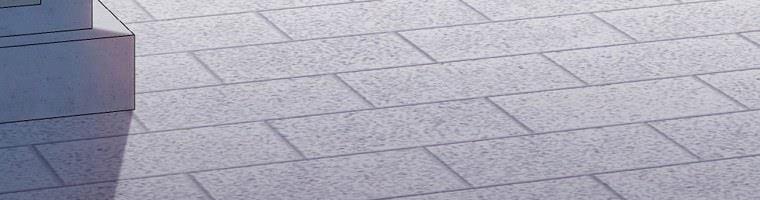 Tôi Sẽ Cứu Lấy Nam Chính Tiểu Thuyết Bl 24 trang 202