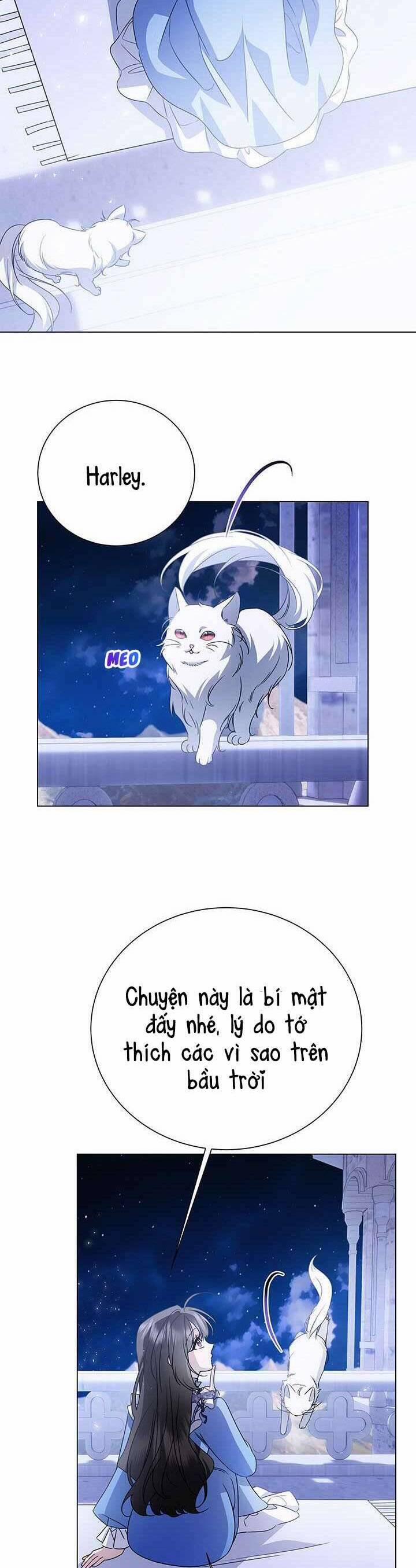 Tôi Sẽ Không Hối Tiếc Vì Anh Đâu 136 trang 8