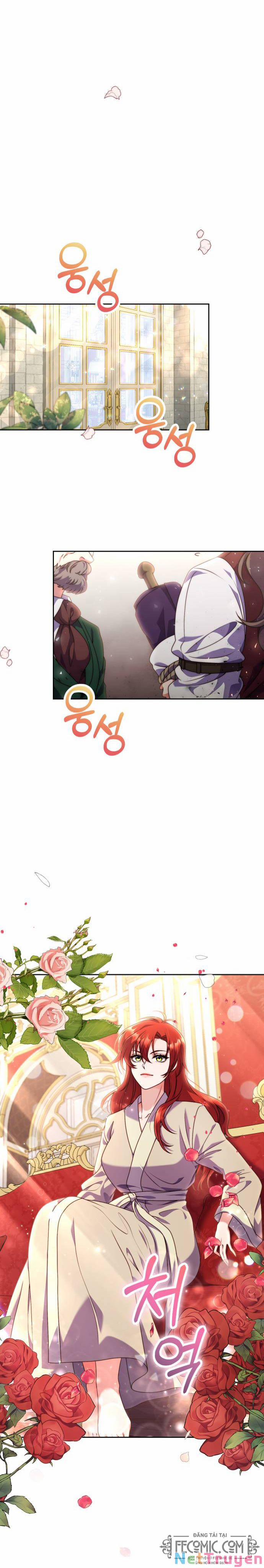 Tôi Sẽ Ly Hôn Với Người Chồng Bạo Chúa Của Mình 4 trang 14