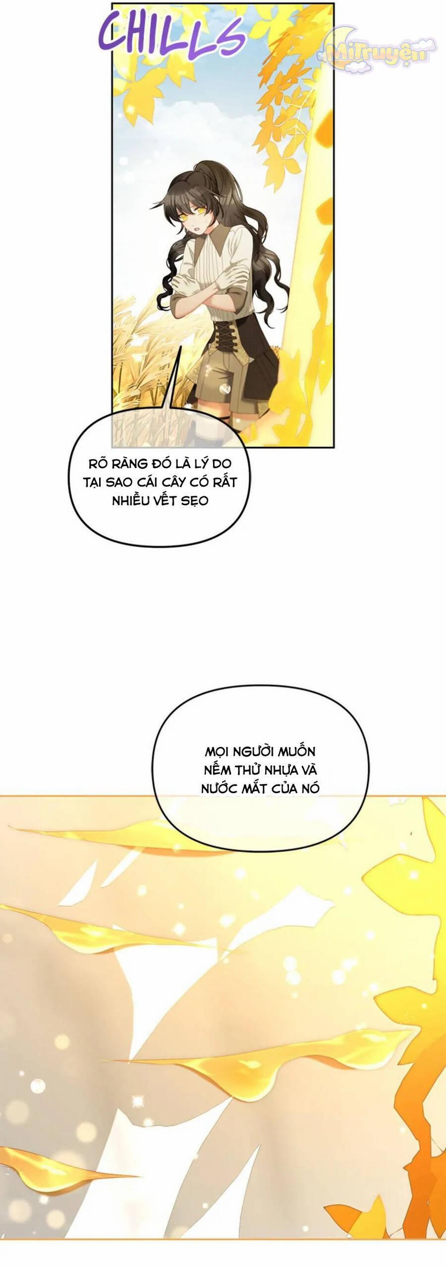 Tôi Sẽ Ở Ngay Bên Cạnh Nam Chính 47 trang 17