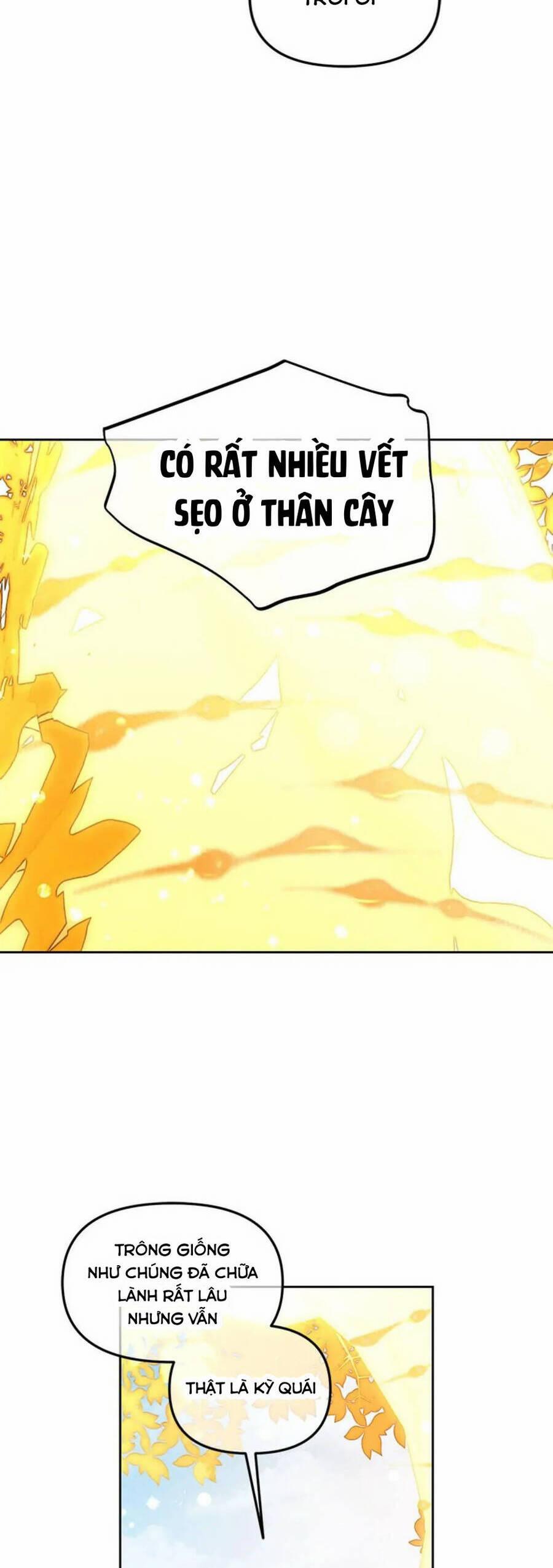 Tôi Sẽ Ở Ngay Bên Cạnh Nam Chính 47 trang 9