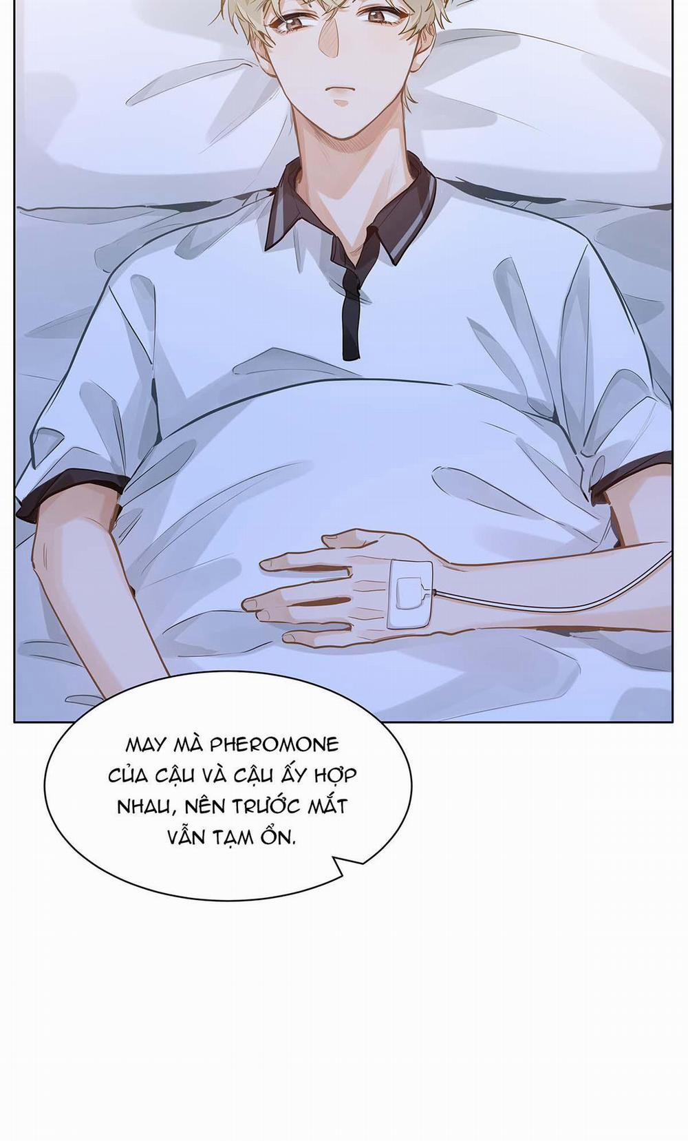 Tôi Thích Pheromone Của Cậu 53 trang 16