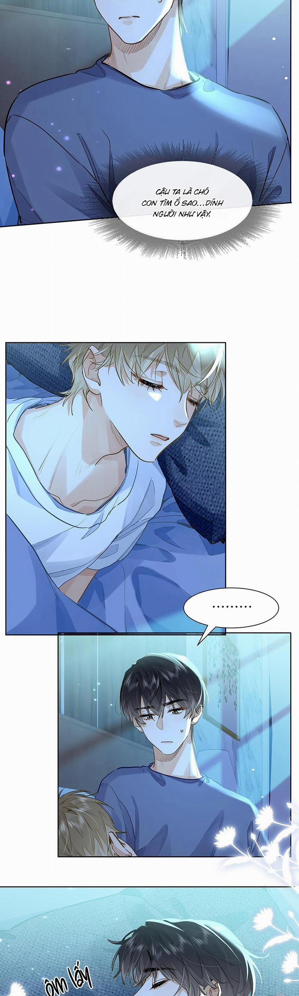 Tôi Thích Tin Tức Tố Của Cậu 43 trang 7