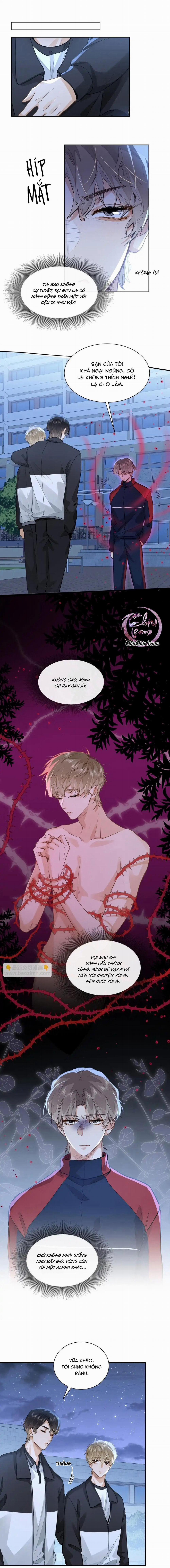 Tôi Thích Tin Tức Tố Của Cậu 48 trang 0