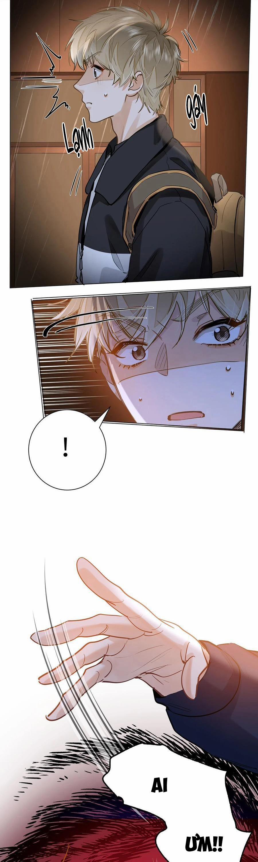 Tôi Thích Tin Tức Tố Của Cậu 50 trang 13