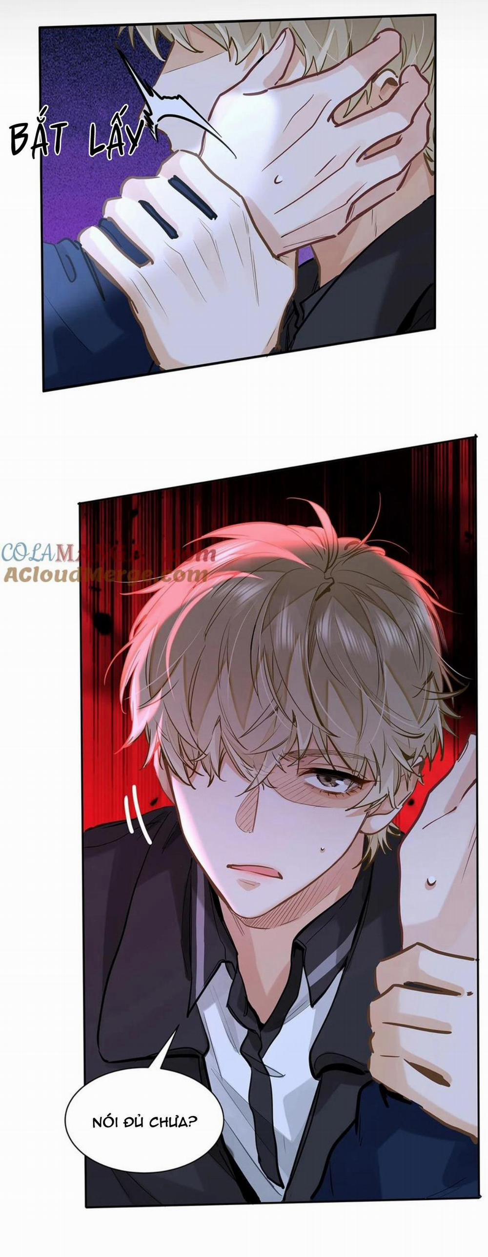 Tôi Thích Tin Tức Tố Của Cậu 51 trang 16