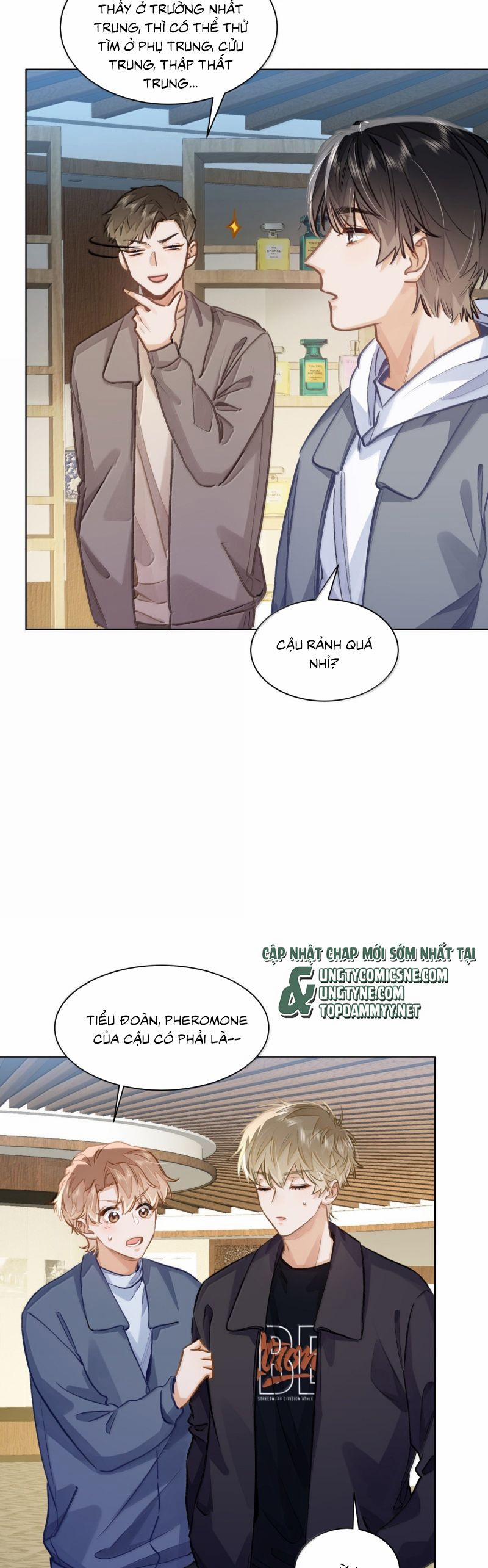 Tôi Thích Tin Tức Tố Của Cậu 64 trang 12