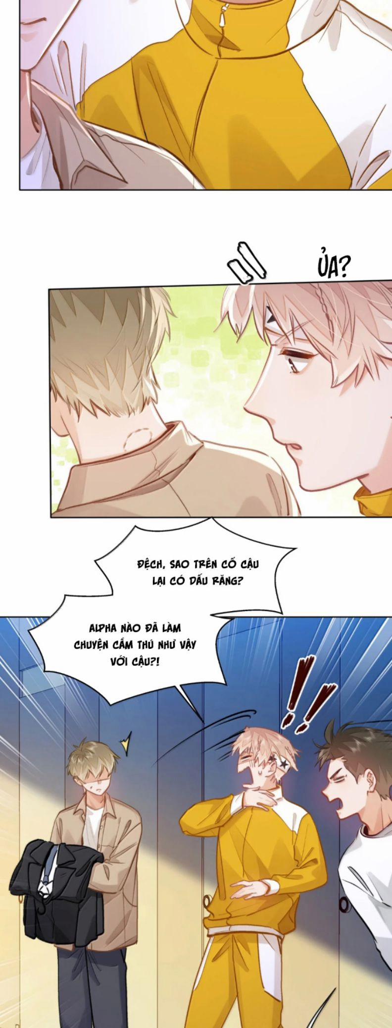 Tôi Thích Tin Tức Tố Của Cậu 69 trang 16