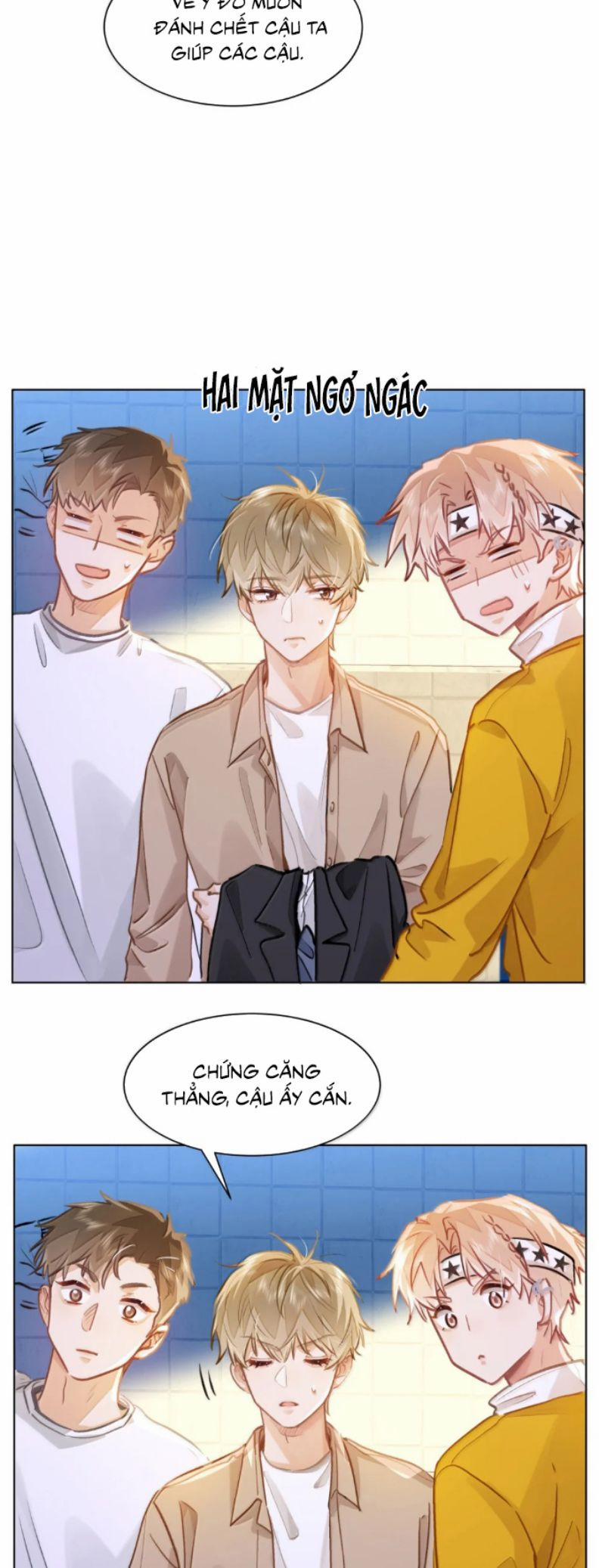 Tôi Thích Tin Tức Tố Của Cậu 69 trang 20