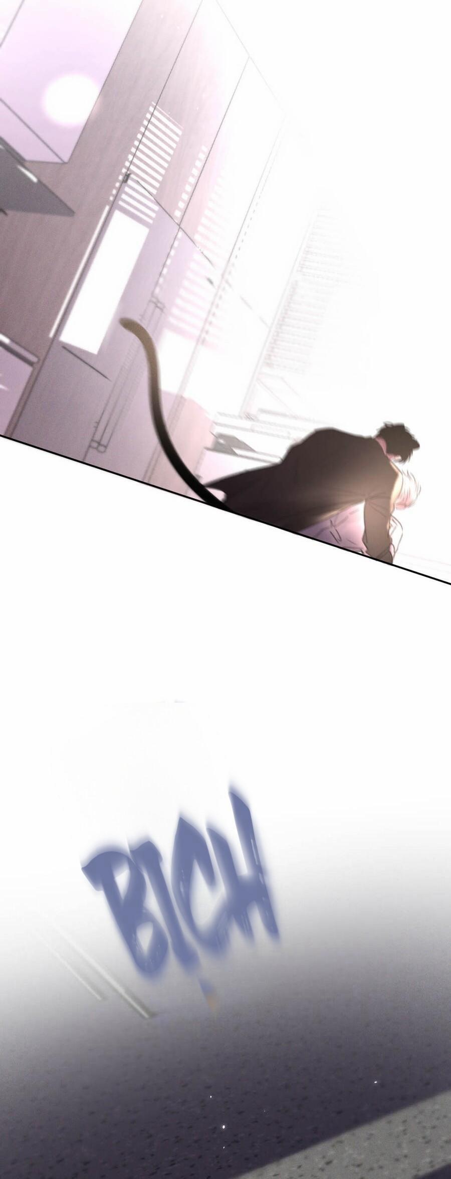 Tôi Trở Thành Dẫn Đường Đỉnh Cấp Nhờ Trúc Mã 14 trang 15