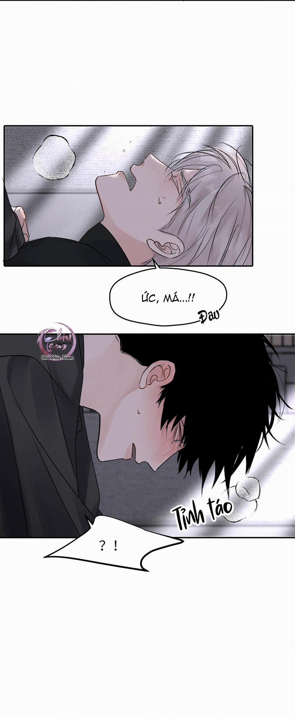 Tôi Trở Thành Dẫn Đường Đỉnh Cấp Nhờ Trúc Mã 23 trang 21