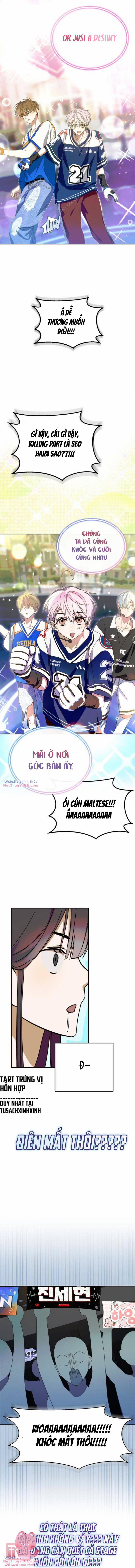 Tôi Trở Thành Thành Viên Trẻ Tuổi Nhất Nhóm Nhạc Idol Nam 17 trang 10