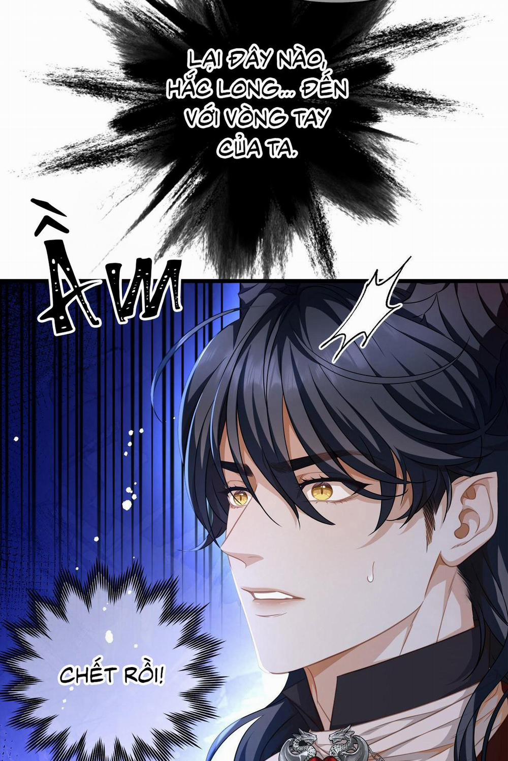 Tôi Trùng Sinh Thành Chú Rồng Đen Của Vương Tử Điện Hạ 13 trang 2