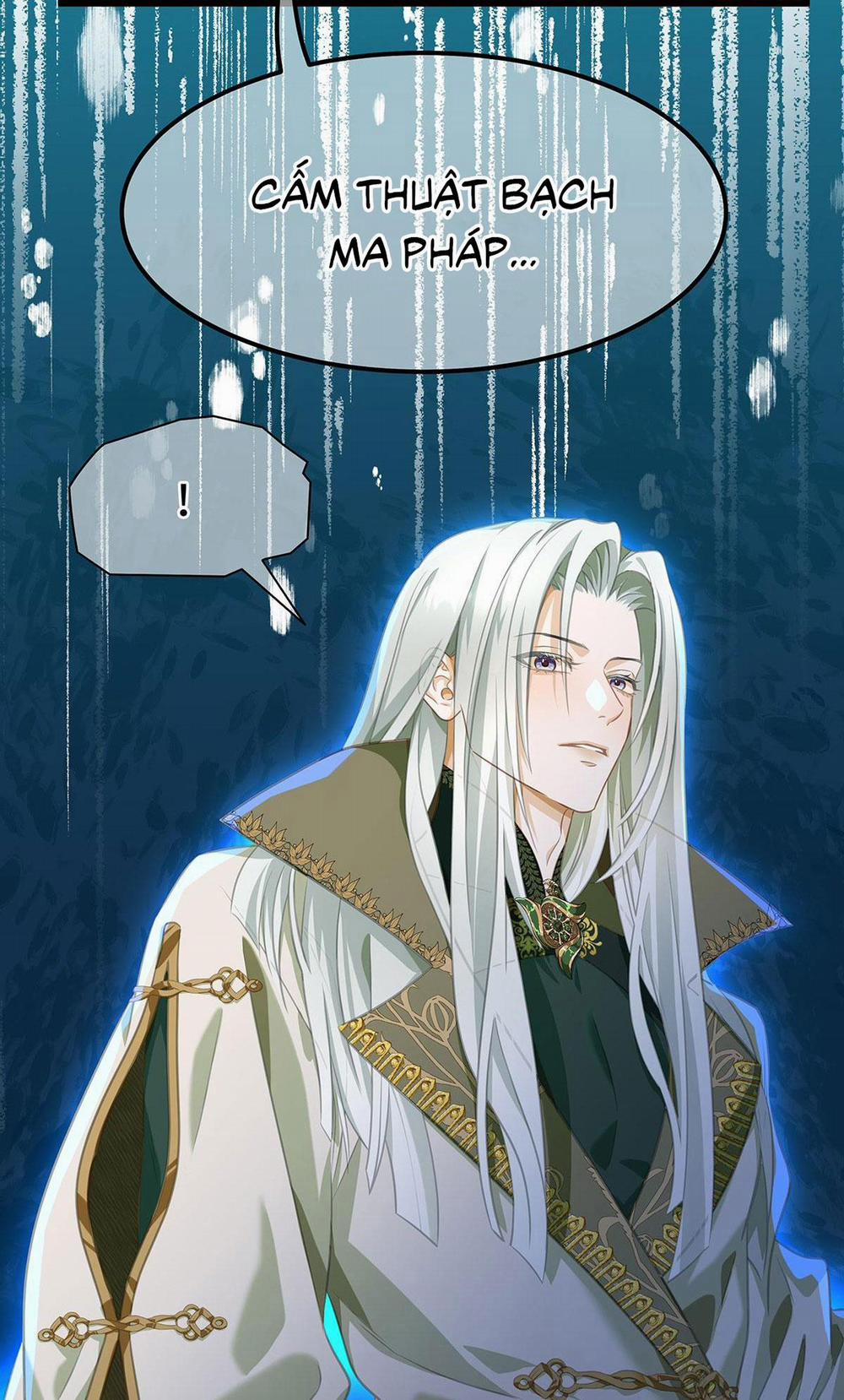 Tôi Trùng Sinh Thành Chú Rồng Đen Của Vương Tử Điện Hạ 14 trang 17