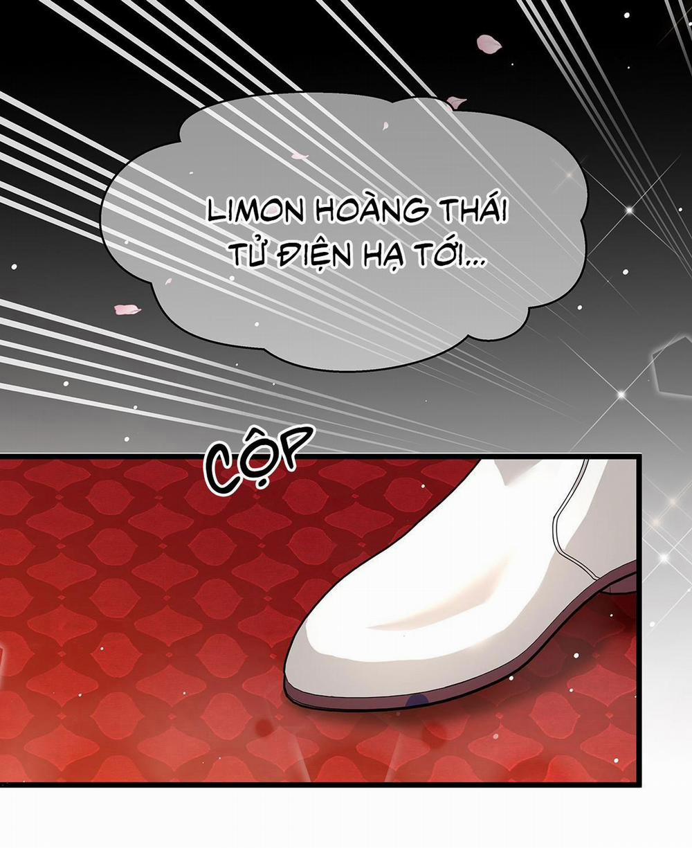 Tôi Trùng Sinh Thành Chú Rồng Đen Của Vương Tử Điện Hạ 17 trang 22