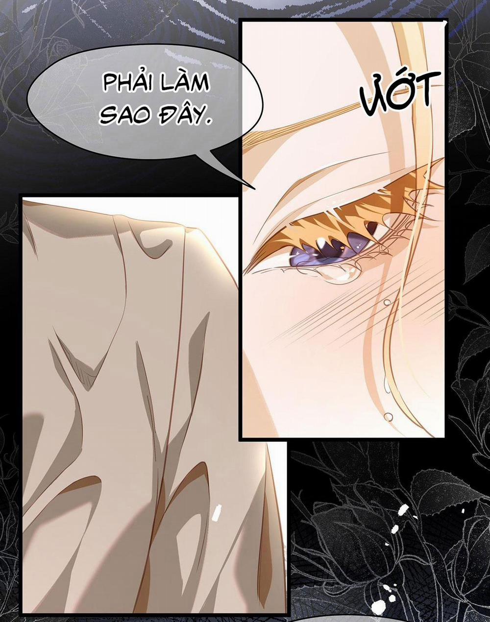 Tôi Trùng Sinh Thành Chú Rồng Đen Của Vương Tử Điện Hạ 18 trang 41