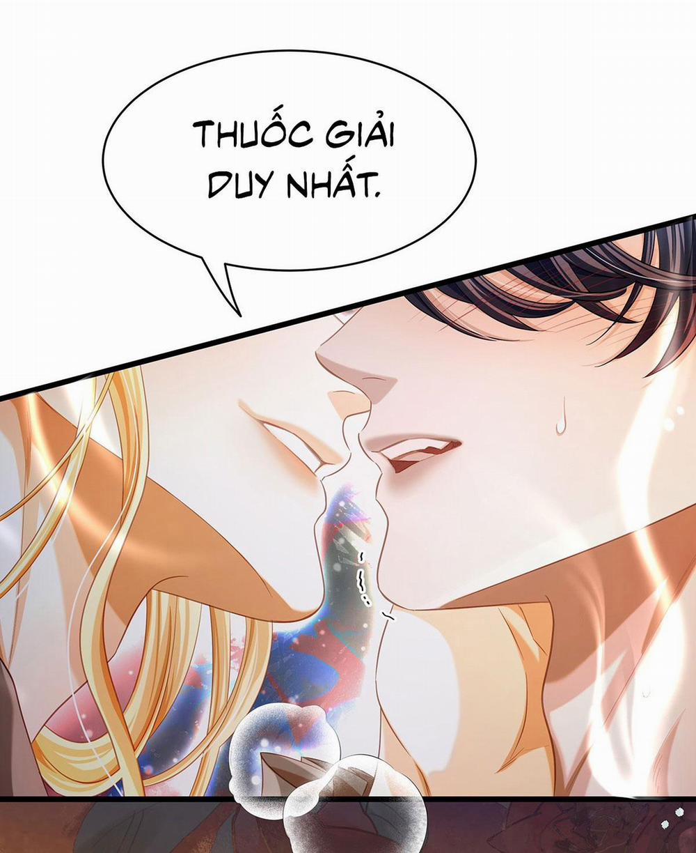 Tôi Trùng Sinh Thành Chú Rồng Đen Của Vương Tử Điện Hạ 19 trang 7