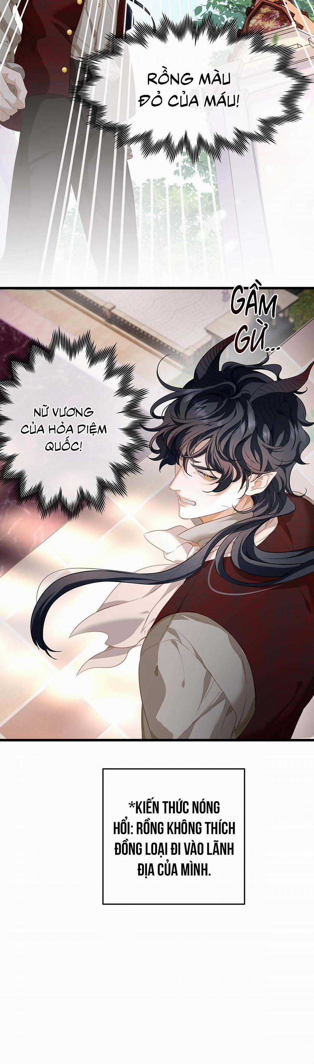 Tôi Trùng Sinh Thành Chú Rồng Đen Của Vương Tử Điện Hạ 22 trang 11