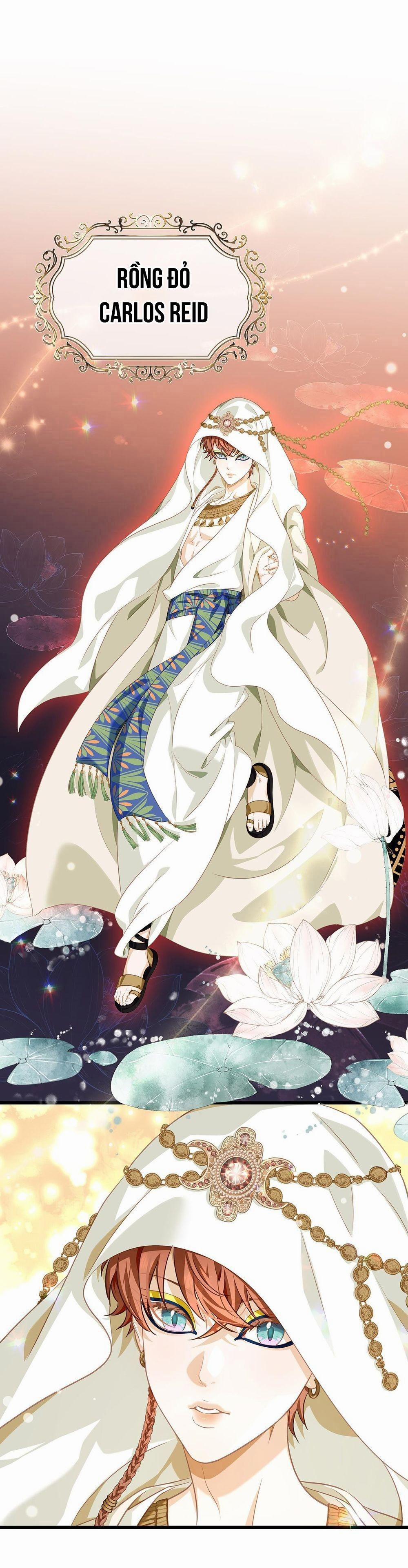 Tôi Trùng Sinh Thành Chú Rồng Đen Của Vương Tử Điện Hạ 23 trang 11