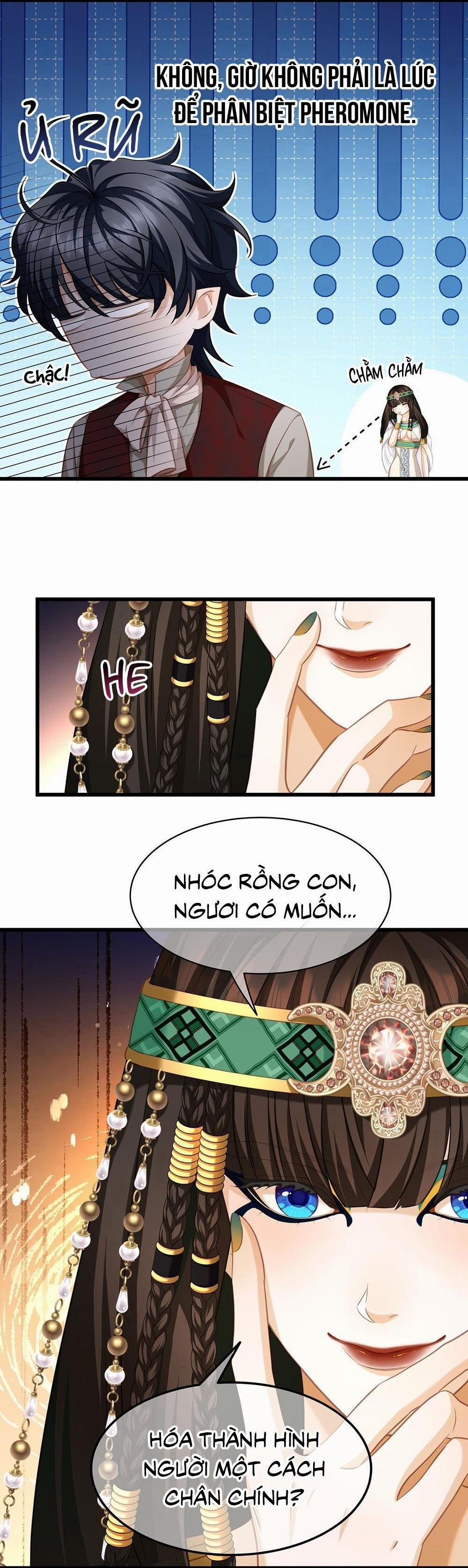 Tôi Trùng Sinh Thành Chú Rồng Đen Của Vương Tử Điện Hạ 23 trang 17