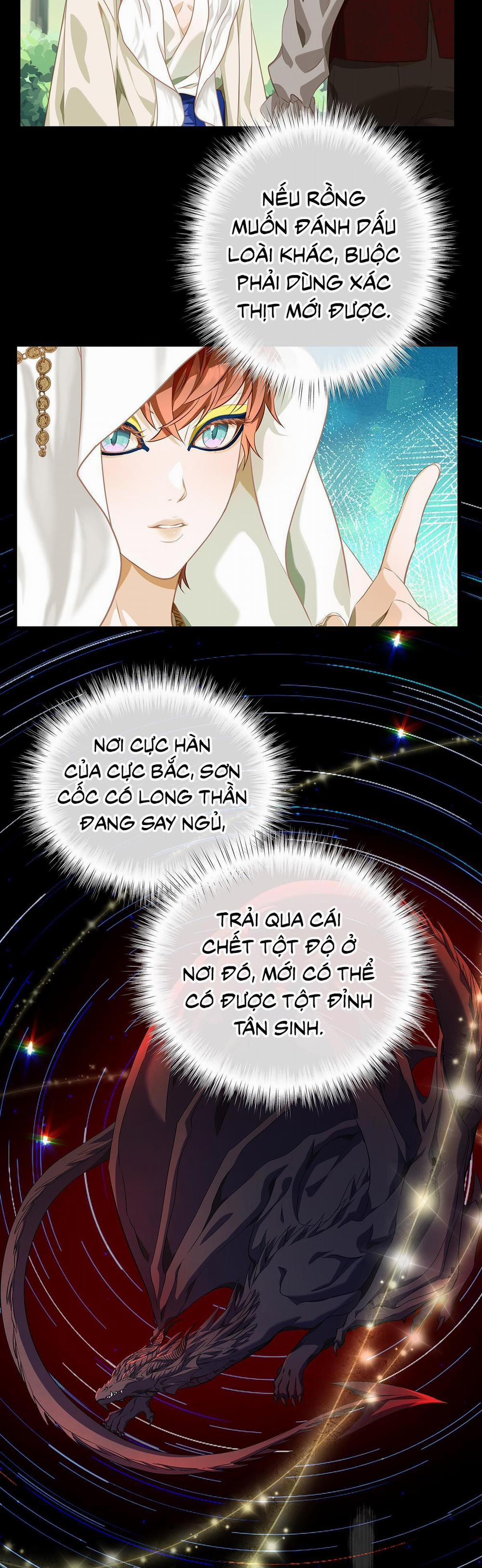 Tôi Trùng Sinh Thành Chú Rồng Đen Của Vương Tử Điện Hạ 24 trang 14