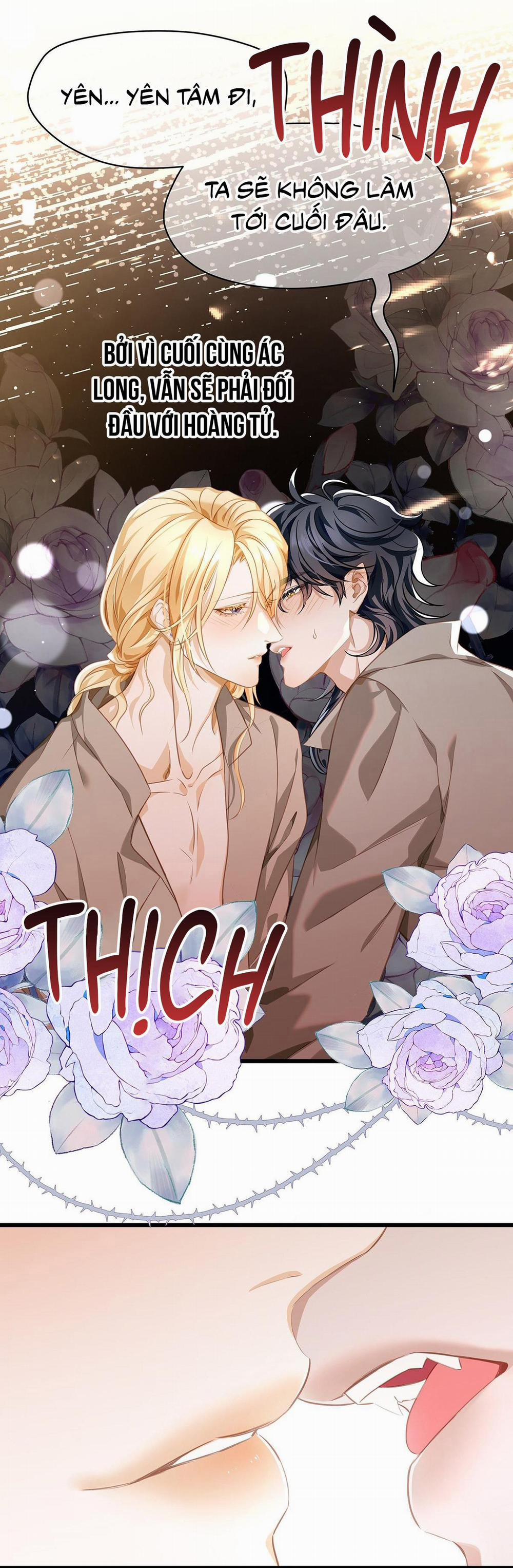 Tôi Trùng Sinh Thành Chú Rồng Đen Của Vương Tử Điện Hạ 30 trang 31