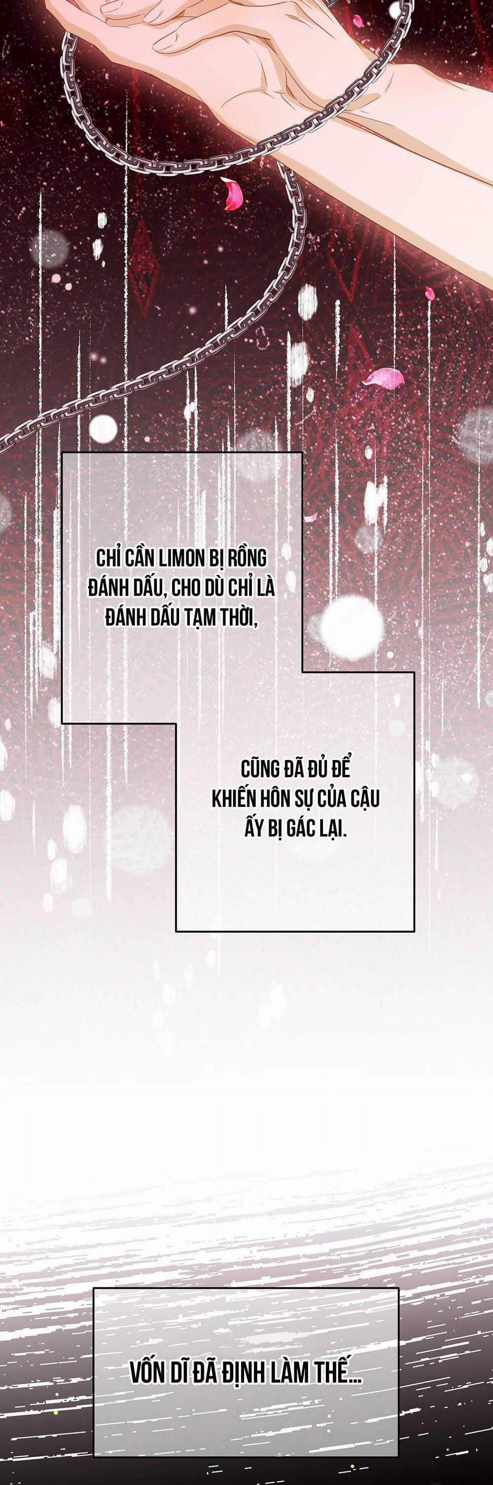 Tôi Trùng Sinh Thành Chú Rồng Đen Của Vương Tử Điện Hạ 32 trang 3