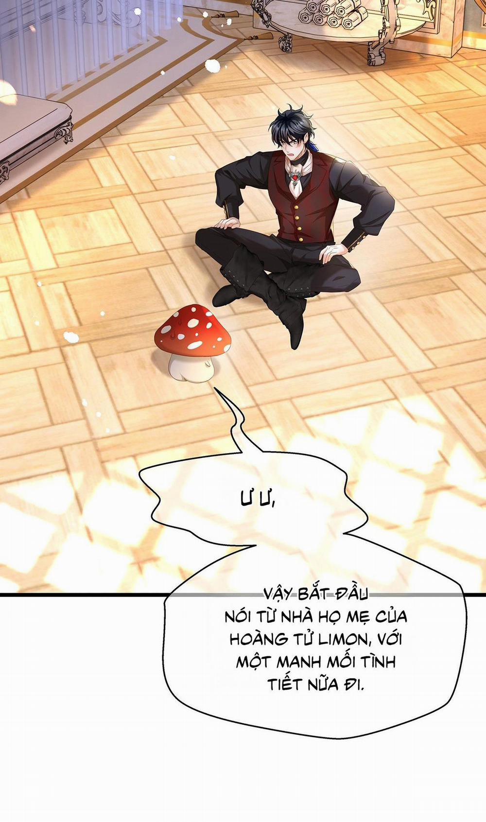 Tôi Trùng Sinh Thành Chú Rồng Đen Của Vương Tử Điện Hạ 36 trang 11