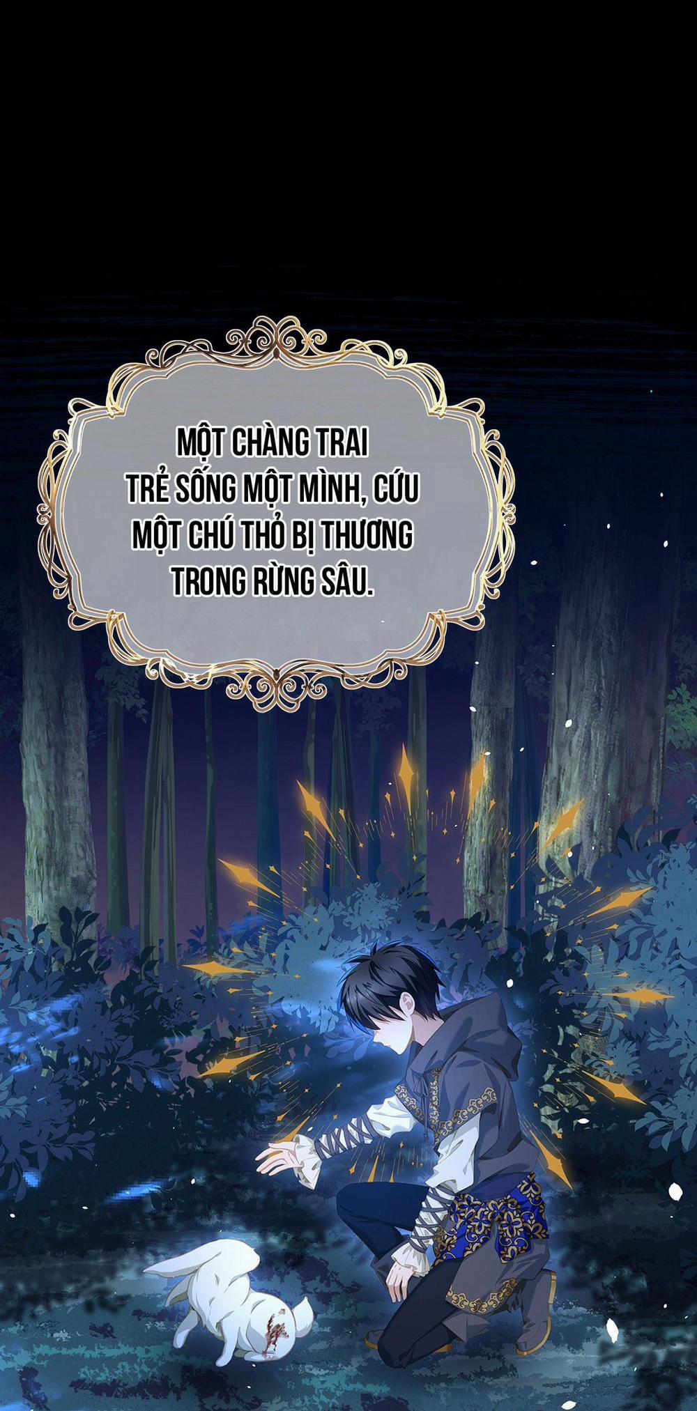 Tôi Trùng Sinh Thành Chú Rồng Đen Của Vương Tử Điện Hạ 6 trang 10