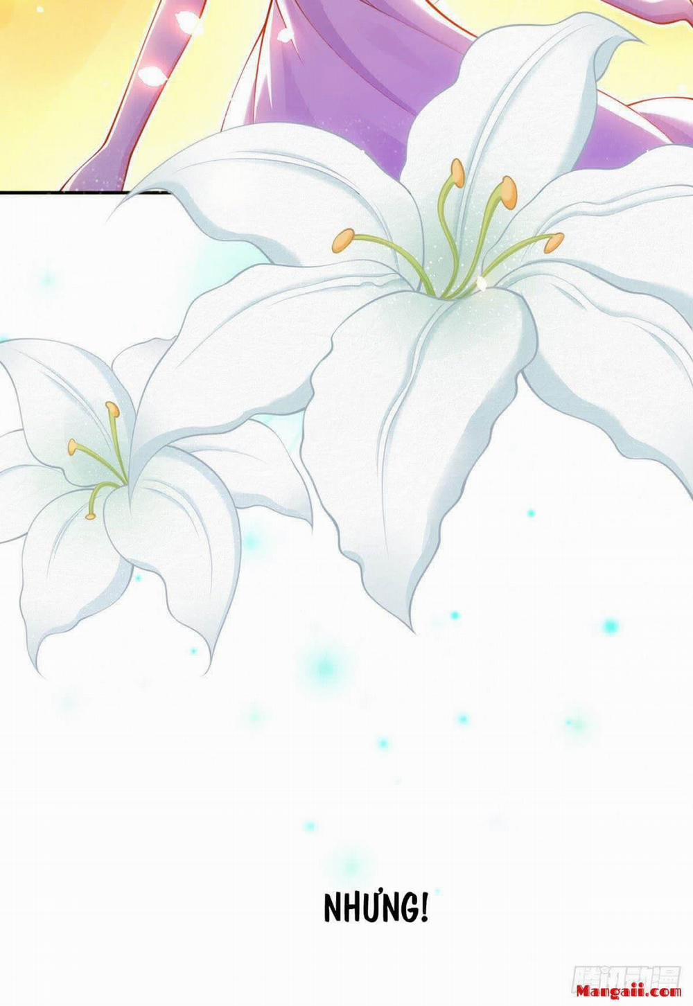 Tôi Xuyên Thành Tiểu Kiều Thê Của Lão Đại 0 trang 10