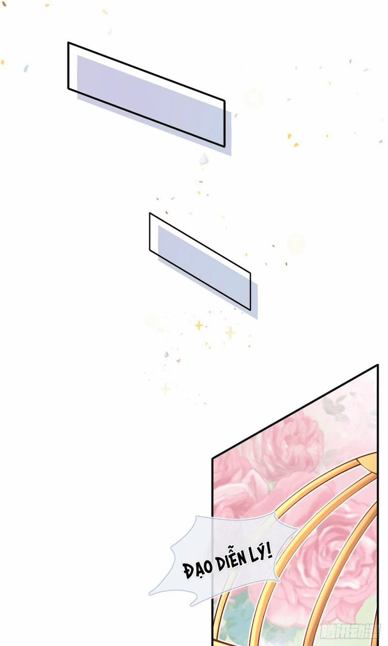 Tôi Xuyên Thành Tiểu Kiều Thê Của Lão Đại 6 trang 13