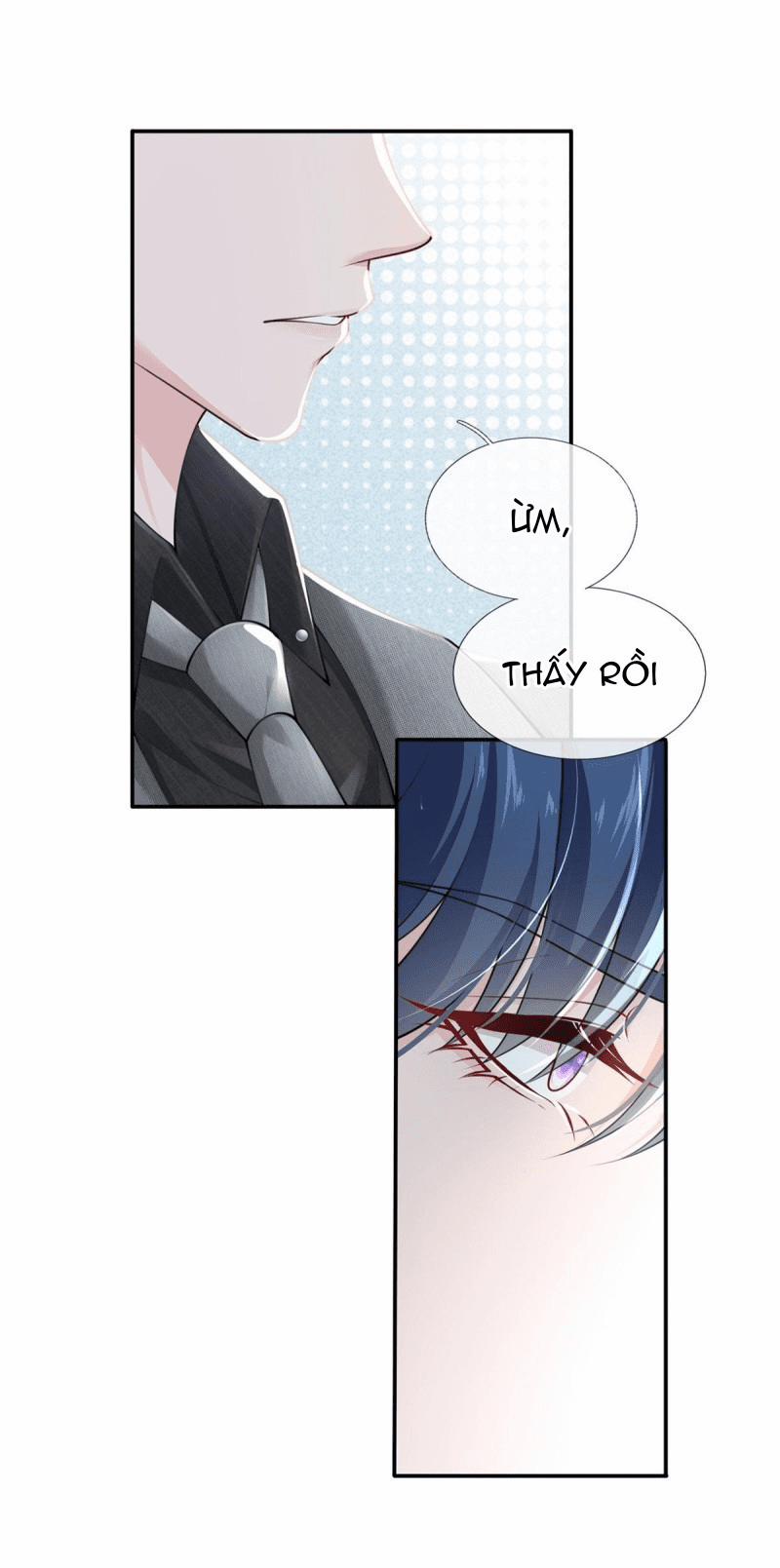 Tôi Xuyên Thành Tiểu Kiều Thê Của Lão Đại 7 trang 12