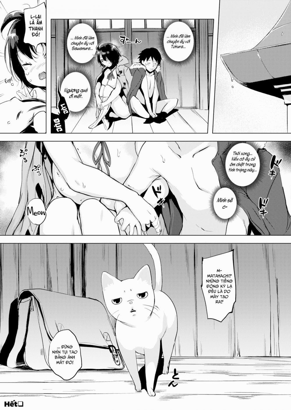 Tokura-san Yêu Mèo! Oneshot trang 20