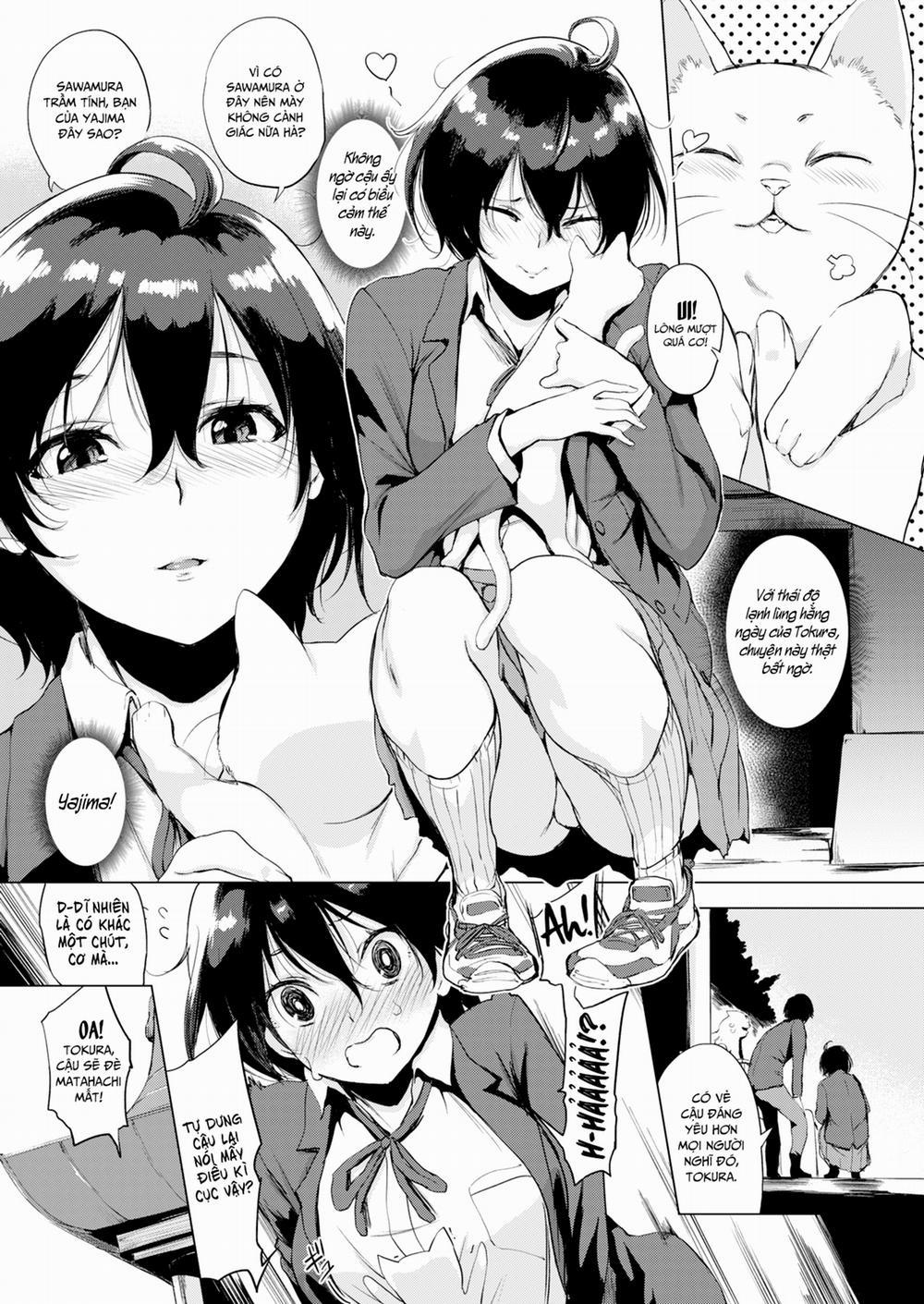 Tokura-san Yêu Mèo! Oneshot trang 4
