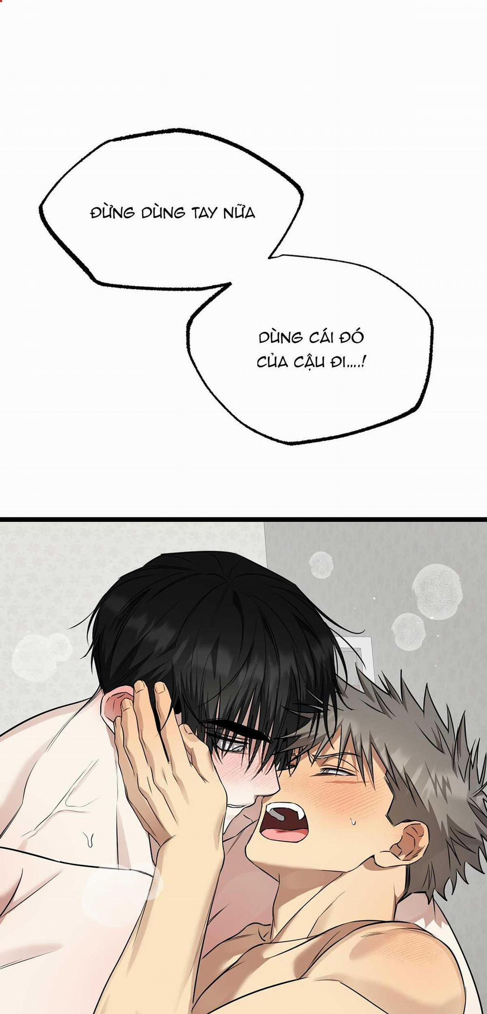 Tôn Kính Và Khát Khao 10 trang 1