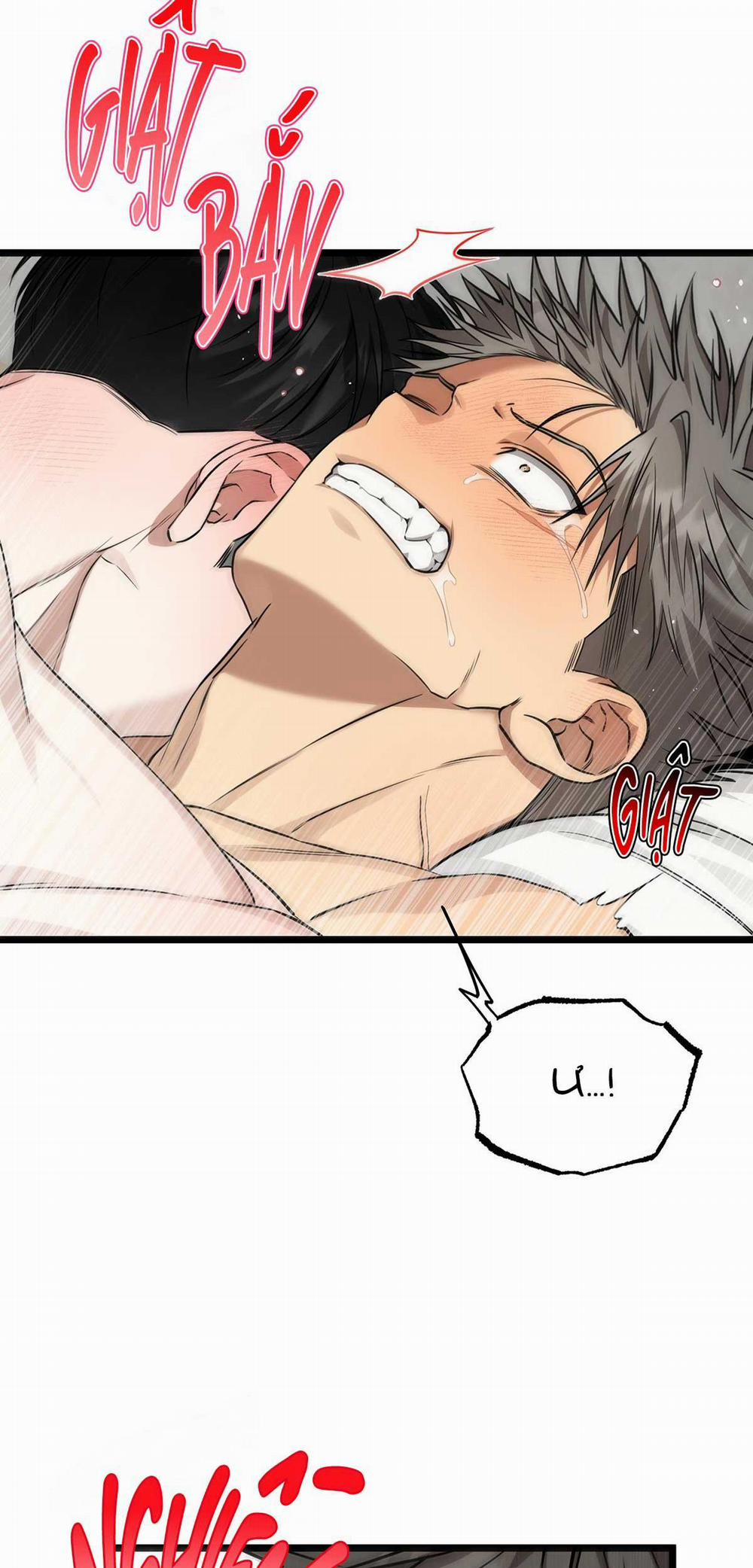 Tôn Kính Và Khát Khao 10 trang 37