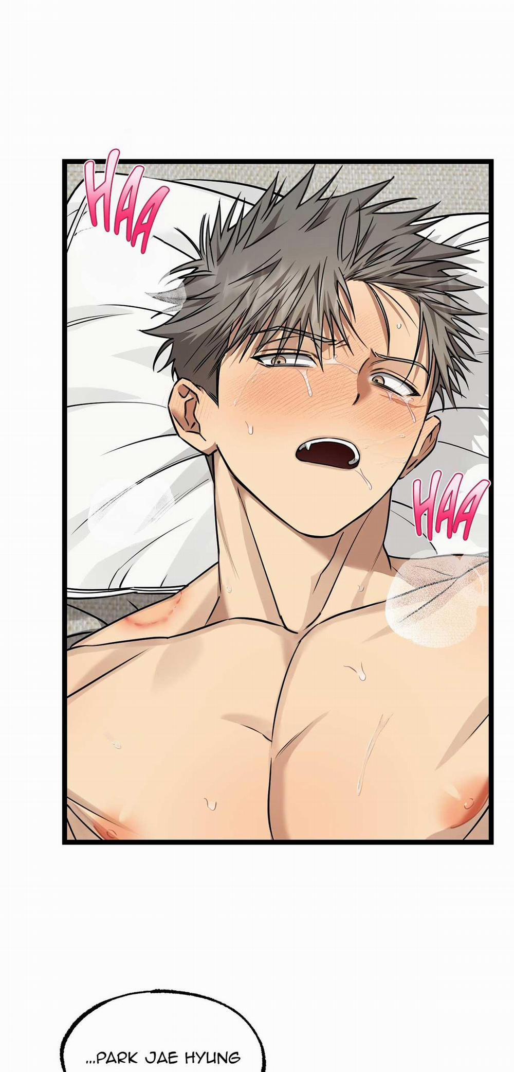 Tôn Kính Và Khát Khao 10 trang 42