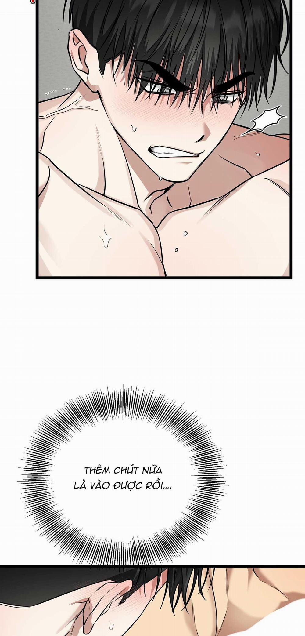 Tôn Kính Và Khát Khao 10 trang 9