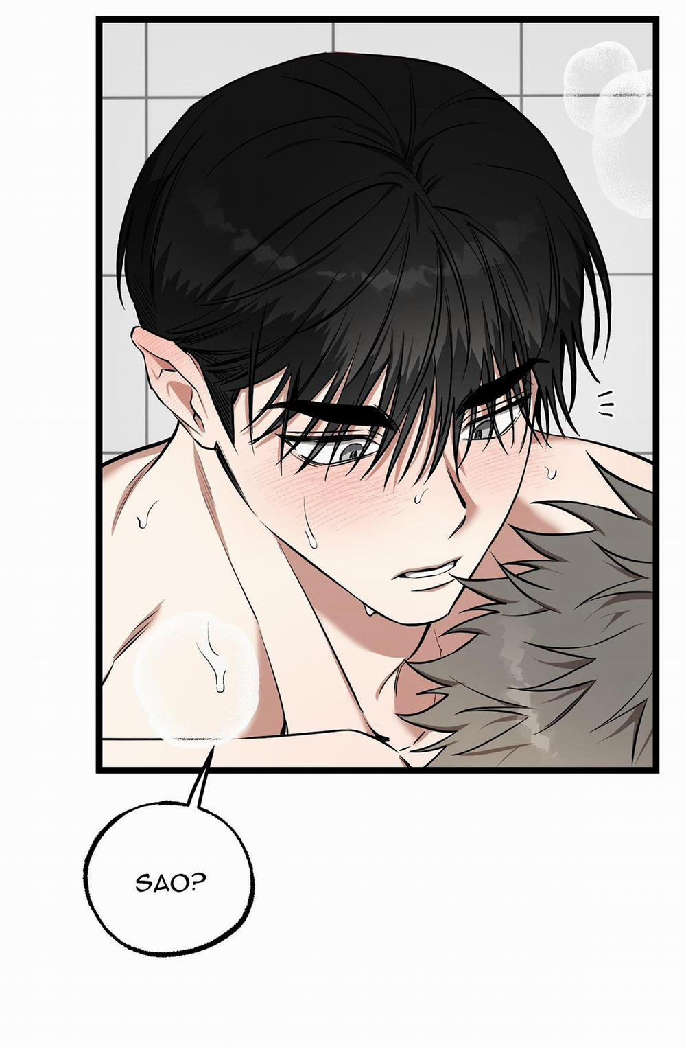 Tôn Kính Và Khát Khao 11 trang 12