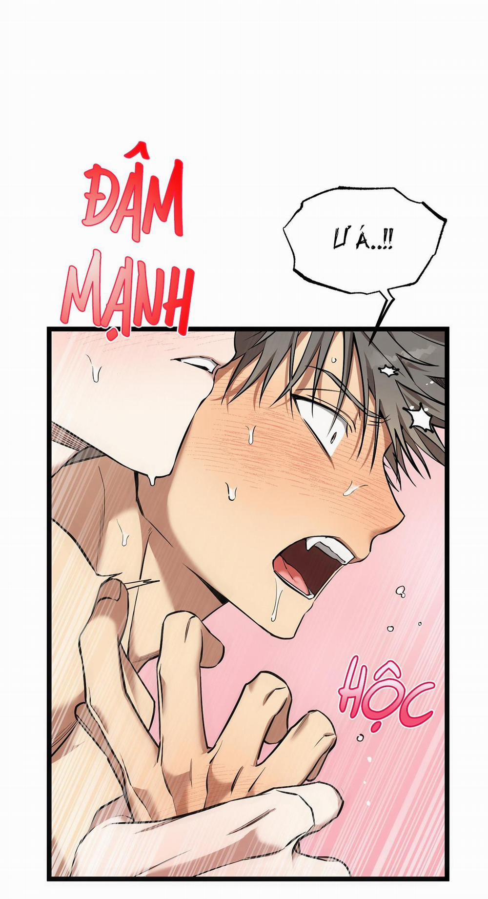 Tôn Kính Và Khát Khao 11 trang 17