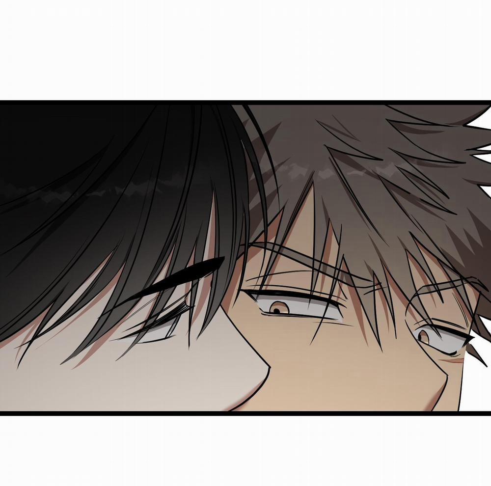 Tôn Kính Và Khát Khao 12 trang 18