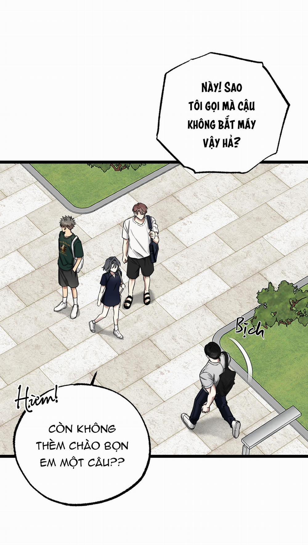 Tôn Kính Và Khát Khao 12 trang 52