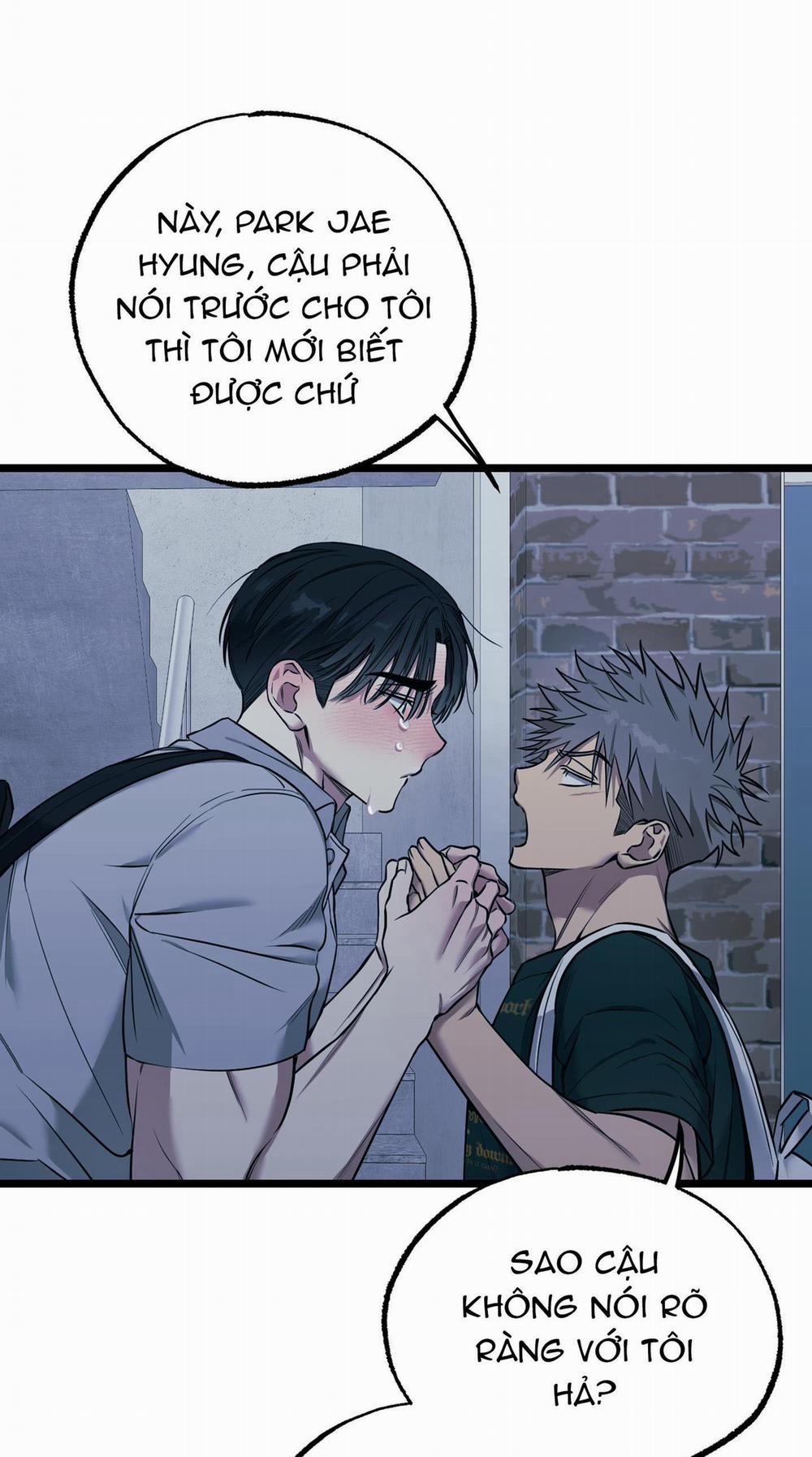 Tôn Kính Và Khát Khao 13 trang 21