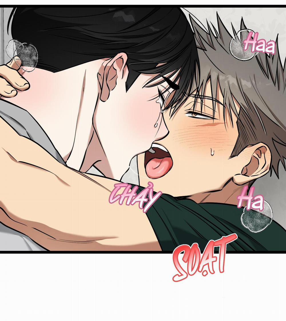 Tôn Kính Và Khát Khao 13 trang 44