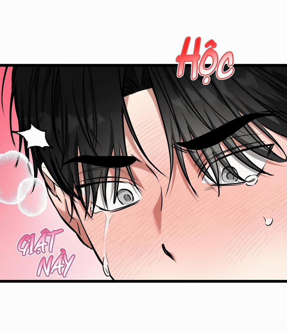 Tôn Kính Và Khát Khao 13 trang 55