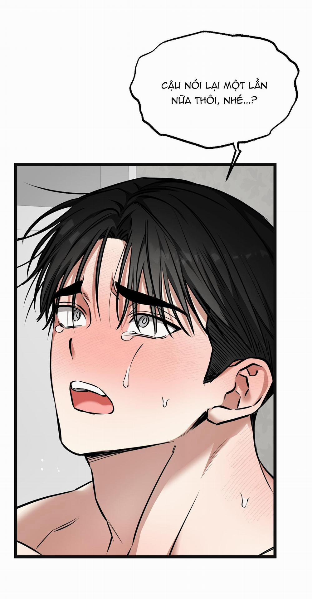 Tôn Kính Và Khát Khao 14 trang 41