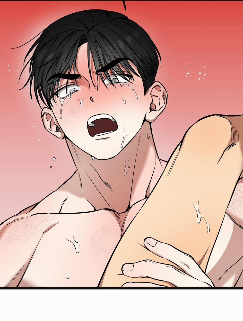 Tôn Kính Và Khát Khao 15 trang 14