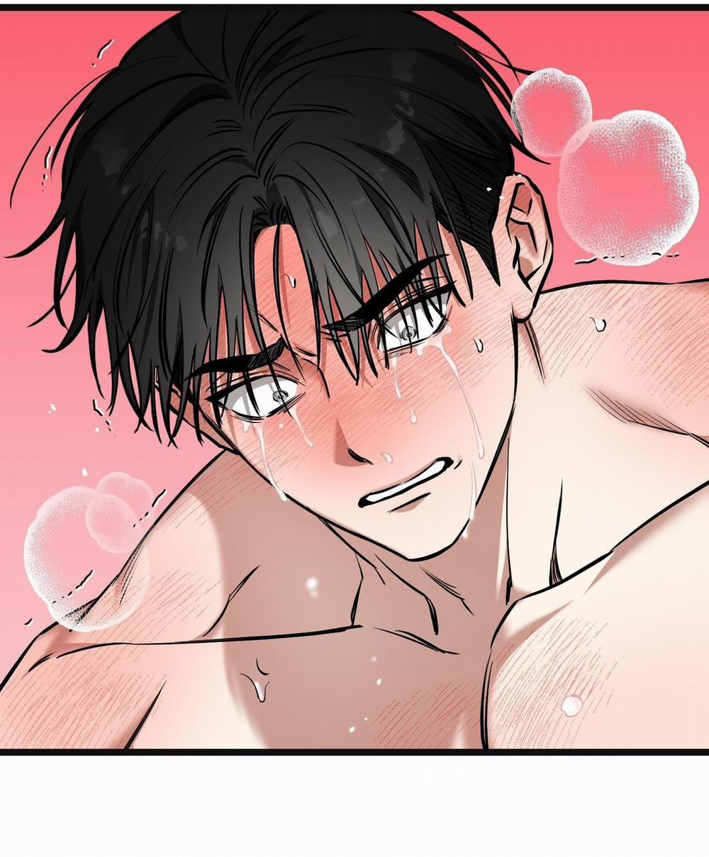 Tôn Kính Và Khát Khao 15 trang 2